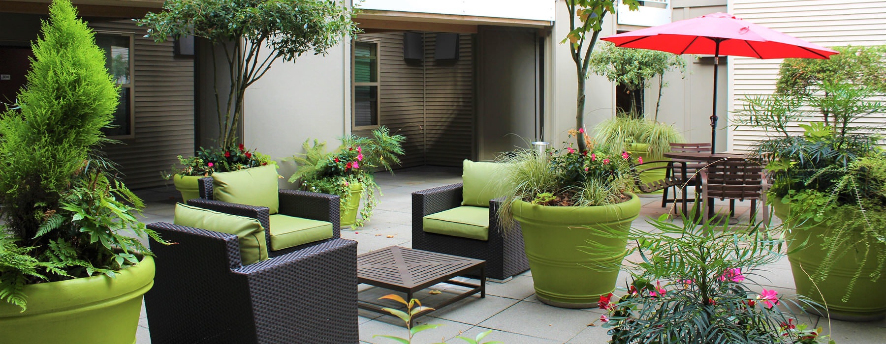 courtyard with patio furniture, large potted plants and trees